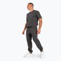 Venum Silent Power Herrenhose grau 2