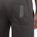 Herren Shorts Venum Silent Power Cotton grau 5