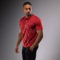 Herren Venum Giant Connect T-Shirt carmin 3
