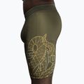 Herren-Trekkingshorts Venum Serpenti Vale Tudo khaki/bronze/ivory 6