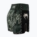 Herren-Trainingsshorts Venum Serpenti Muay Thai khaki/bronze/ivory 4