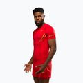 Herren-Trainingsshirt Venum X WOW FC Rashguards Fury Rot/Gold 5
