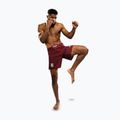 Herren Trainingsshorts Venum X Ares 2.0 Burgund 5