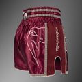 Herren-Trainingsshorts Venum x Rajadamnern Muay Thai burgundy 4