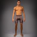 Herren Trainingsshorts Venum No Gi Vale Tudo chocolate brown 2