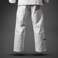 Brazilian Jiu-Jitsu Anzug Venum Roger Gracie Academy BJJ white/red 6