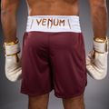 Herren-Trainingsshorts Venum Classic Boxing burgundy 6