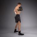 Herren-Boxershorts Venum Streamline Boxing black/gold 2
