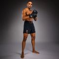 Herren-Trainingsshorts Venum Thunder Dragon Black/Grey/Copper 2