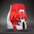 Trainingsshorts Venum Inferno 2.0 Muay Thai red/white 4