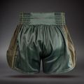 Trainingsshorts Venum Stealth Muay Thai Khaki/Dark Green 2