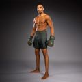 Herren-Trainingsshorts Venum Stealth Khaki/Dark Green 4