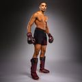Herren-Trainingsshorts Venum Spectre black/red 4