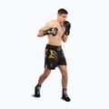 Herren-Trainingsshorts Venum x Mike Tyson Tiger black/gold 2