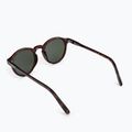 Frauen-Sonnenbrillen ROXY Moanna 2021 shiny tortoise/green 2