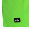 Quiksilver Everyday 15  Herren-Badeshorts grün EQYJV03531 4