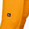 Quiksilver Boundry Herren Snowboardhose orange EQYTP03144 3