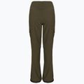 Snowboard-Hose für Männer DC Nonchalant olive night 3