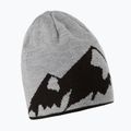 Quiksilver M&W Herren Snowboardmütze schwarz EQYHA03308 4
