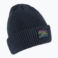Quiksilver Herren Skimütze Tofino navy blau EQYHA03301