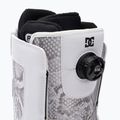 Snowboardschuhe für Frauen DC Phase Boa white/snake 6