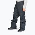 Snowboard-Hose für Männer DC Banshee black