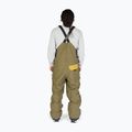 Snowboard-Hose für Männer DC Shadow ivy green 2