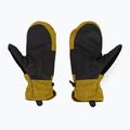 Snowboard-Handschuhe für Männer DC Tribute bronze mist 2