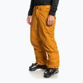 Snowboardhose Herren Quiksilver Estate gelb EQYTP3146 7