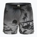 Herren Quiksilver Everyday Paradise Volley 15