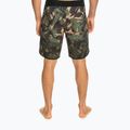 Quiksilver Herren Highlite Scallop 19" Schwimmshorts grün EQYBS04761-CQY6 3