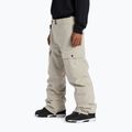 DC Code Herren Snowboard-Hose plaza taupe 3