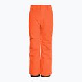 Quiksilver Estate Youth Grenadine Kinder Snowboardhose 2