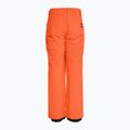 Quiksilver Estate Youth Grenadine Kinder Snowboardhose 3