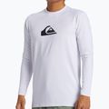 Herren Quiksilver Everyday Surf Tee weiß schwimmen Longsleeve 4