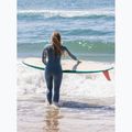 ROXY Damen 4/3 mm Swell Series Back Zip GBS starglazer Neoprenanzug 8