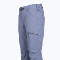 Snowboardhose Damen ROXY Nadia wild wind 9