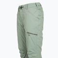 Snowboardhose Damen ROXY Nadia lily pad 8
