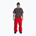 Snowboardhose Herren DC Banshee barbados cherry 2