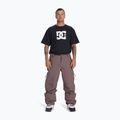 Snowboardhose Herren DC Squadron 30K plum truffle 2