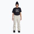 Damen-Snowboardhose DC Nonchalant Silberfutter 2