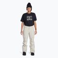 Snowboardhose Damen DC Nonchalant silver lining 2