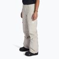 Snowboardhose Damen DC Nonchalant silver lining 4