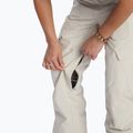 Snowboardhose Damen DC Nonchalant silver lining 6