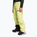 Snowboardhose Herren Quiksilver Utility celery green 4