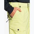 Snowboardhose Herren Quiksilver Utility celery green 5