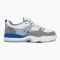 Schuhe Herren DC Ascend white / grey / blue 2