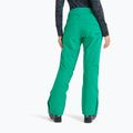 Damen Snowboardhose ROXY Backyard vivid green 3