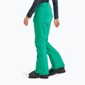 Damen Snowboardhose ROXY Backyard vivid green 5