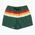 Herren-Badeshorts Quiksilver Everyday Printed Volley 15" forest outside stripe